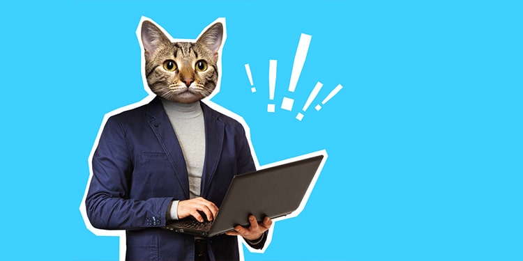 ingilizcede hayvan isimleri