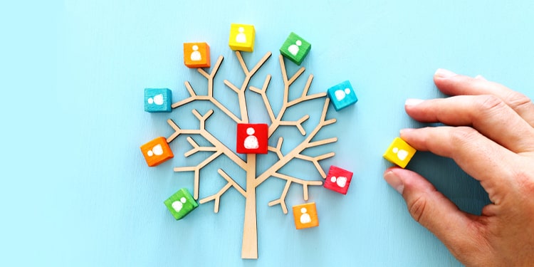 ingilizce aile ağacı - ingilizce aile tanıtma örnekleri