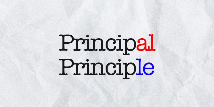 karıştırılan ingilizce kelimeler principal principle