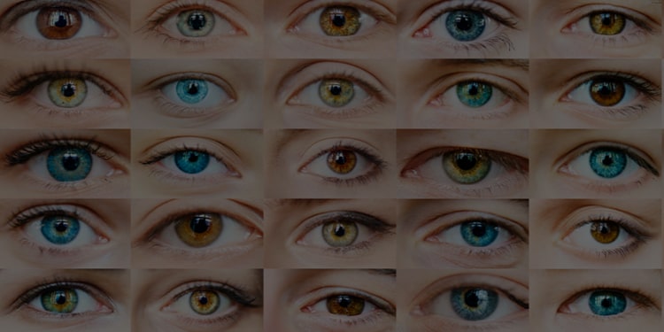 ingilizce göz ile alakalı kelimeler - ingilizce fiziksel özellikler