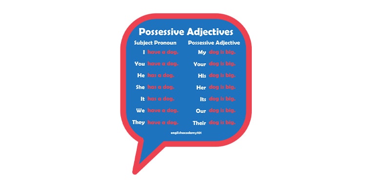 possesive adjectives - iyelik sıfatları