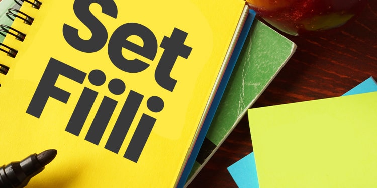set fiili anlamı