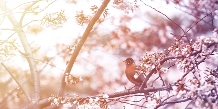 march kelimesini içeren ingilizce cümleler