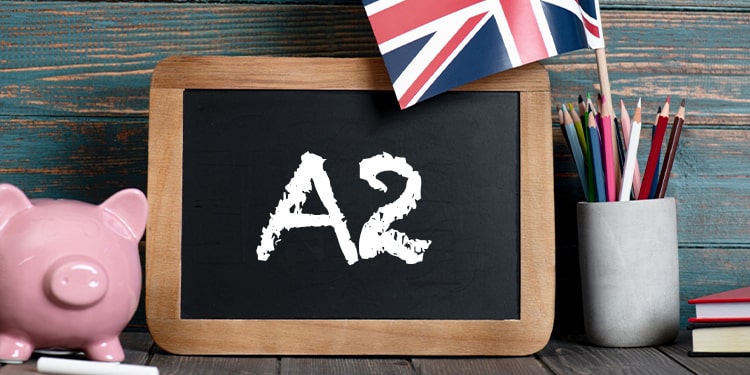 a2 seviye ingilizce kitap - oliver twist