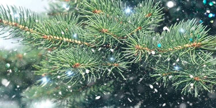 december ayının önemi - december ayı hakkında bilgiler