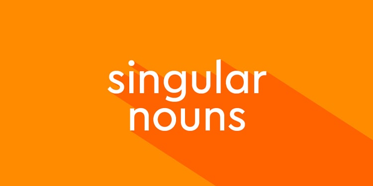 ingilizce isim türleri - singular noun