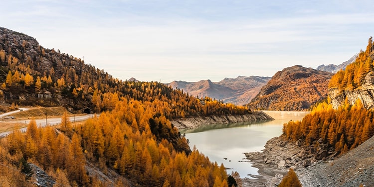 novemberla alakalı ingilizce örnek cümleler