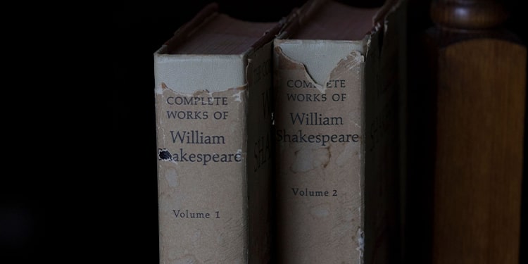 en güzel shakespeare soneleri - shakespeare sonnets 60