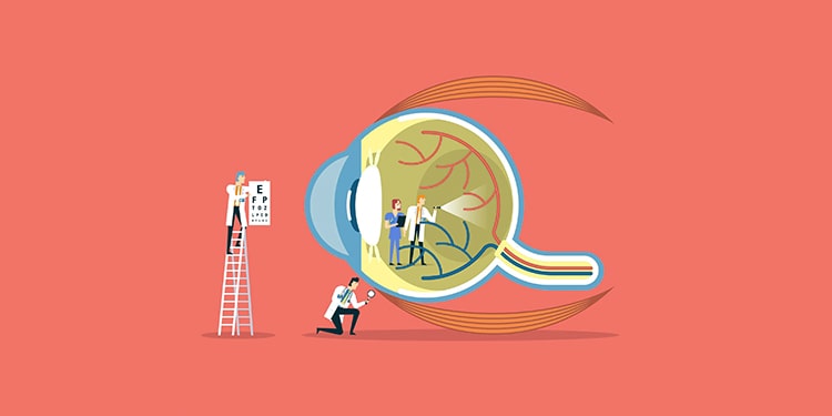 ingilizce vücudun bölümlerini hemen öğren