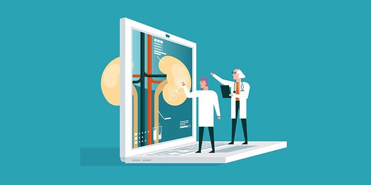 vücudun bölümleri ingilizce part 1