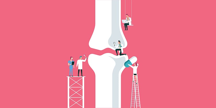 vücudun bölümleri ingilizce part 2