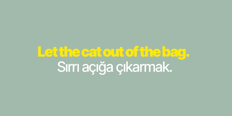 içinde cat geçen ingilizce deyimler