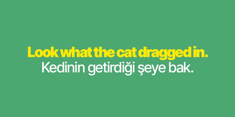 içinde cat geçen ingilizce deyimler devamı