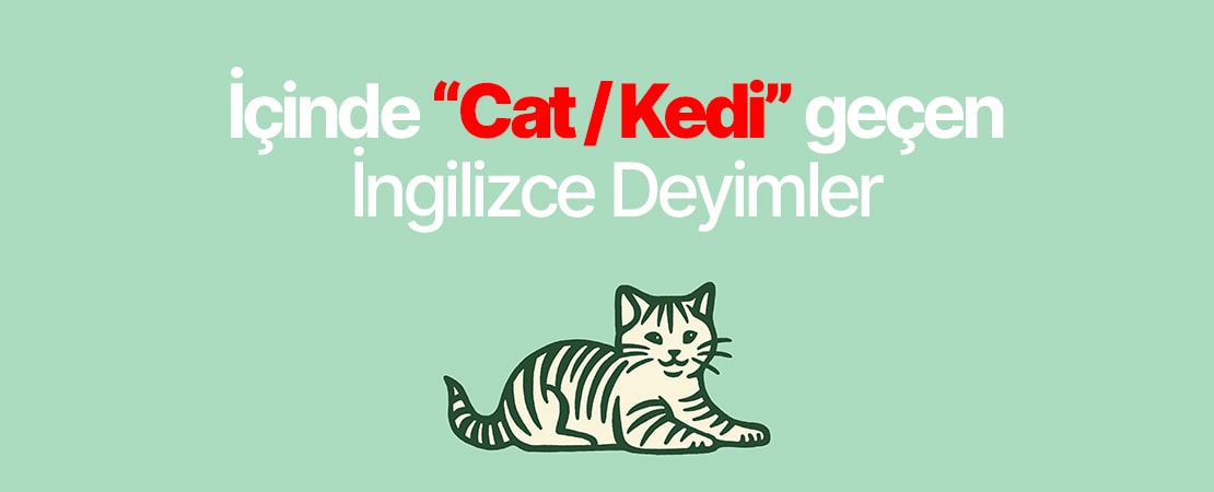 İçinde “Cat/Kedi” Geçen İngilizce Deyimler