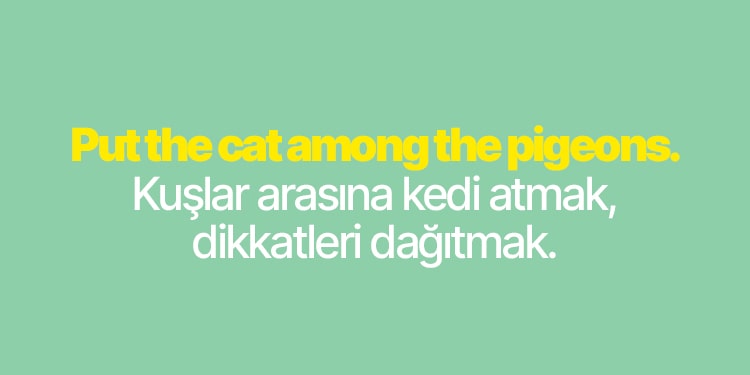 içinde kedi geçen ingilizce deyimler - put the cat amaong the pigeons