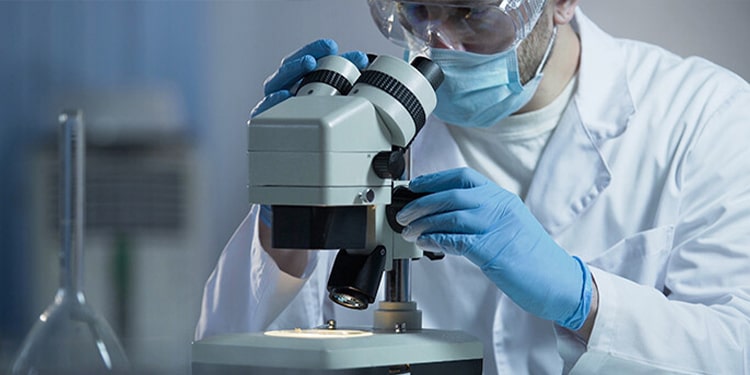 ekoloji ile ilgili terimler - biyologların bilmesi gereken ingilizce terimler