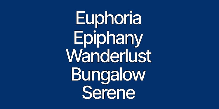 en ilginç ingilizce kelimeler - euphoria