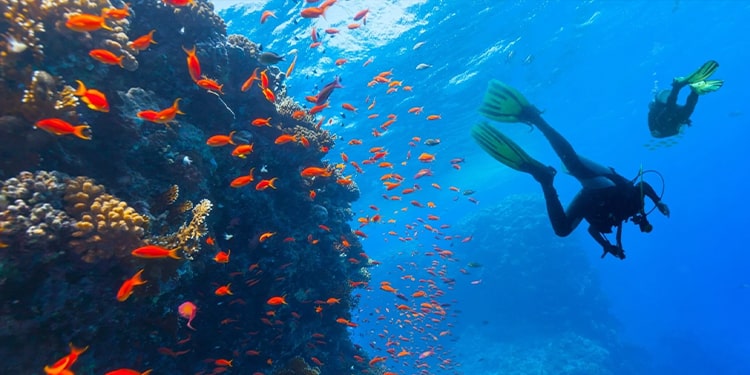 ingilizce su sporları - scuba diving