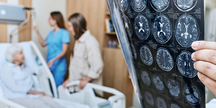 ingilizce organlar hakkında ilginç bilgiler