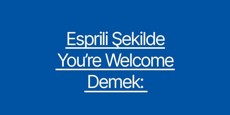 esprili şekilde you're welcome demek