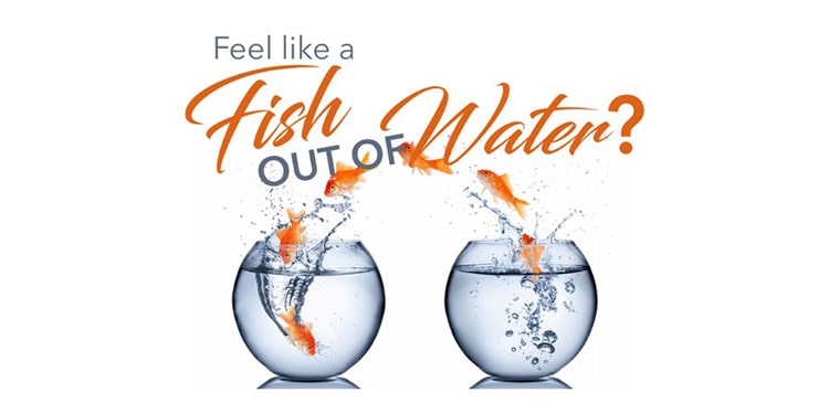 içinde deniz geçen 20 ingilizce deyim - like a fish out of water