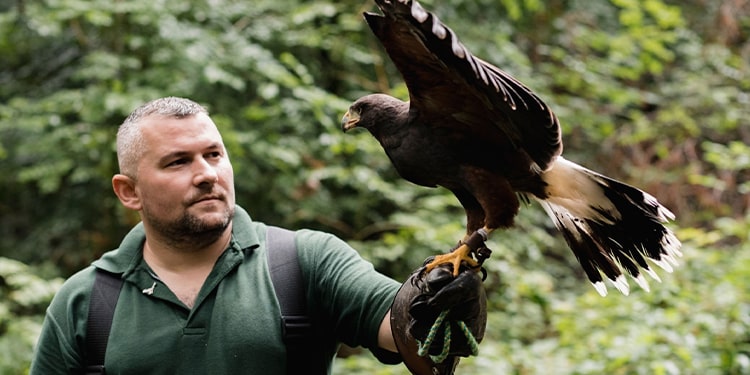 ingilizce kuş çeşitleri