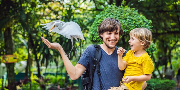 ingilizce kuşlarla ilgili terimler - ingilizce kuşlarla ilgili cümleler