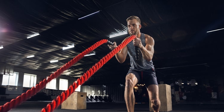 spor beslenme için iş ingilizcesi terimleri
