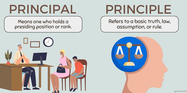 ingilizce principle nedir - principle telaffuzu
