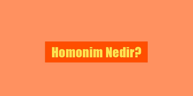 ingilizcede homonim nedir