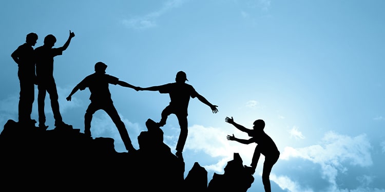 raise ve rise arasındaki farklar