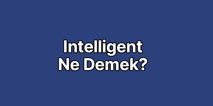 intelligent ne demek