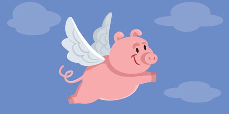 when pigs fly kullanımı