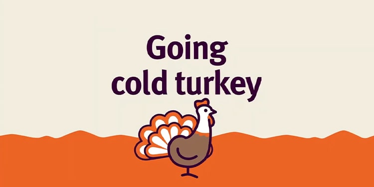 ingilizcede içinde cold geçen deyimler - cold turkey