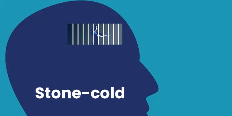 ingilizcede içinde cold geçen deyimler - stone cold
