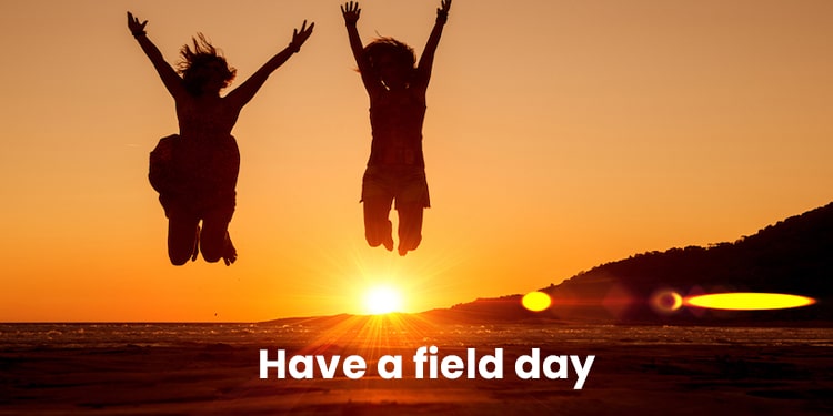 içinde day geçen ingilizce deyimler - have a field day