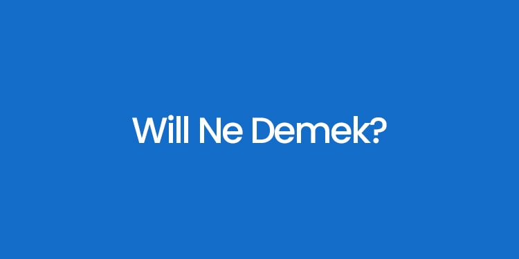 ingilizce farkları ne shall ne demek