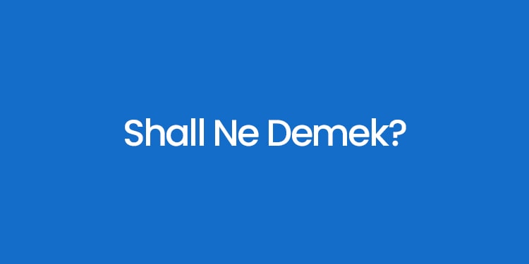 ingilizce farkları ne will ne demek